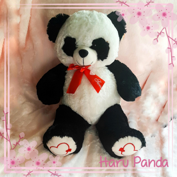 Panda Médio